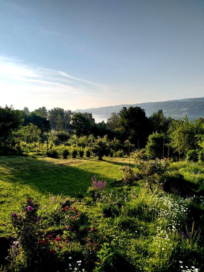 Seenah - Ihre Wohnung Am Bodensee / Untersee Ґайнгофен Екстер'єр фото